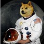 Guarda il profilo utente di AceDoge